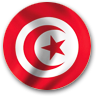 Arab Version